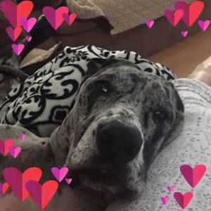 Meet your Posher, Christy